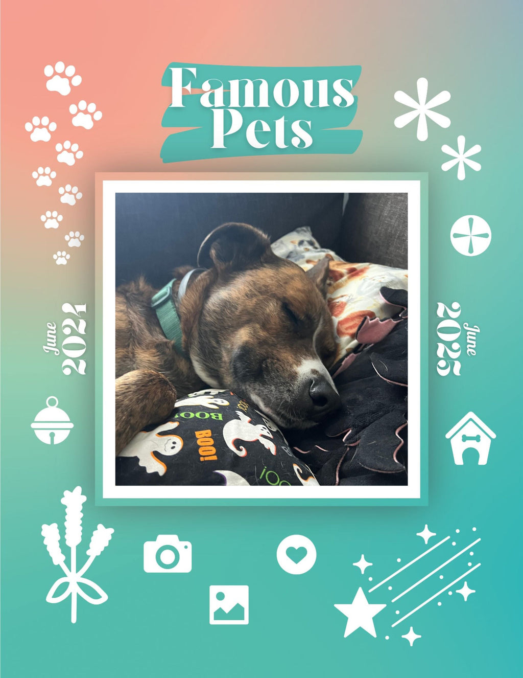 Famous Pets: June 2024-June 2025 Wall Calendar (Pre-Order)