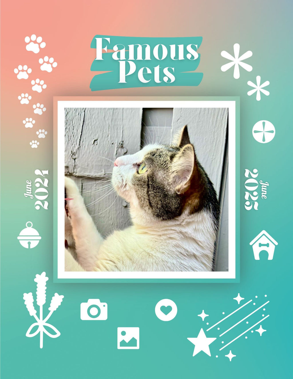 Famous Pets: June 2024-June 2025 Wall Calendar (Pre-Order)