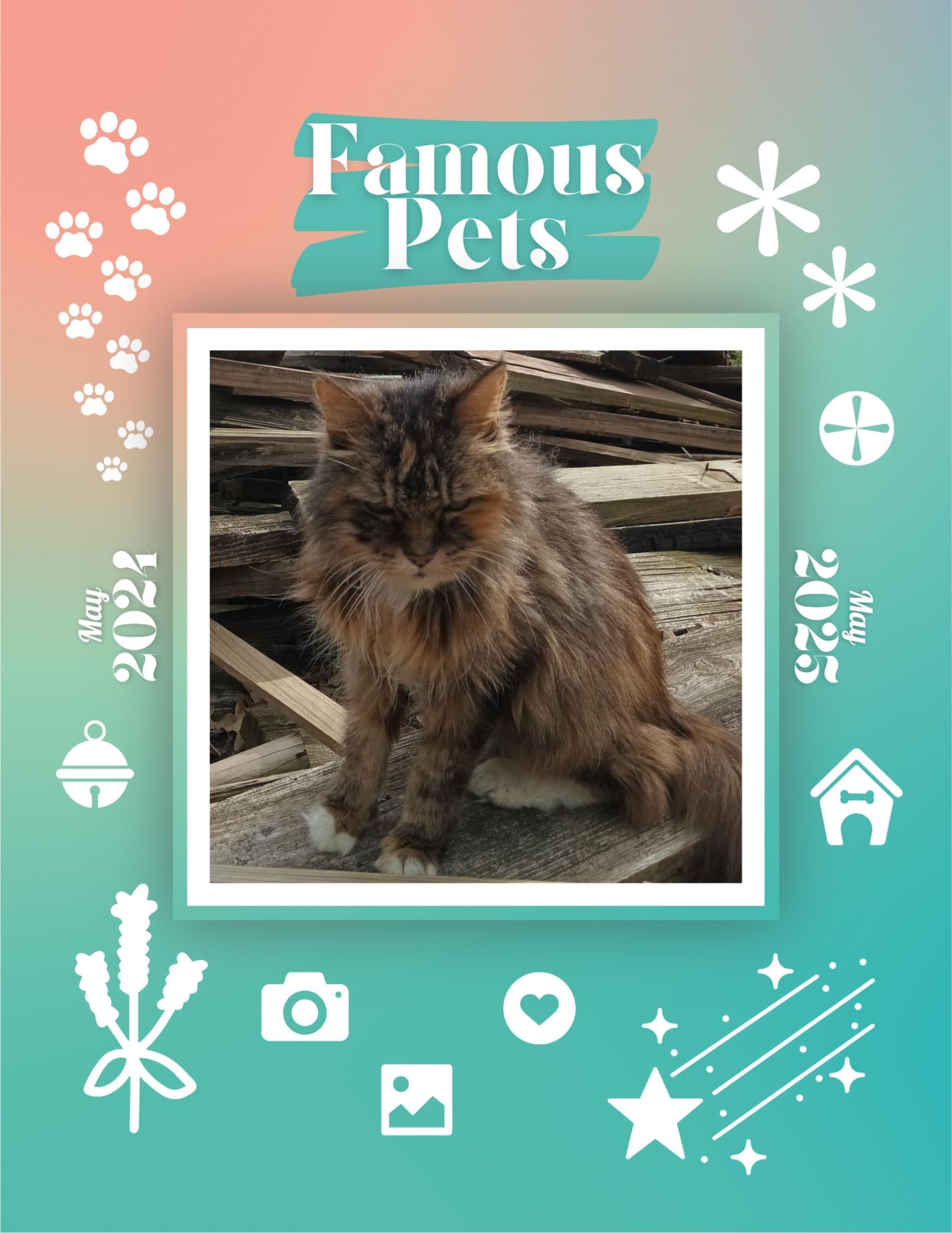 Famous Pets: June 2024-June 2025 Wall Calendar (Pre-Order)