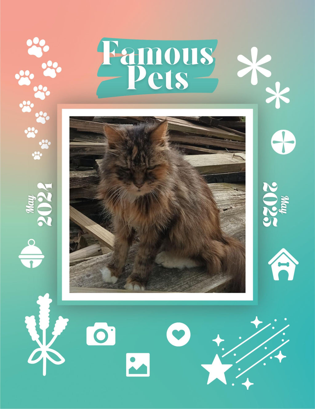 Famous Pets: June 2024-June 2025 Wall Calendar (Pre-Order)