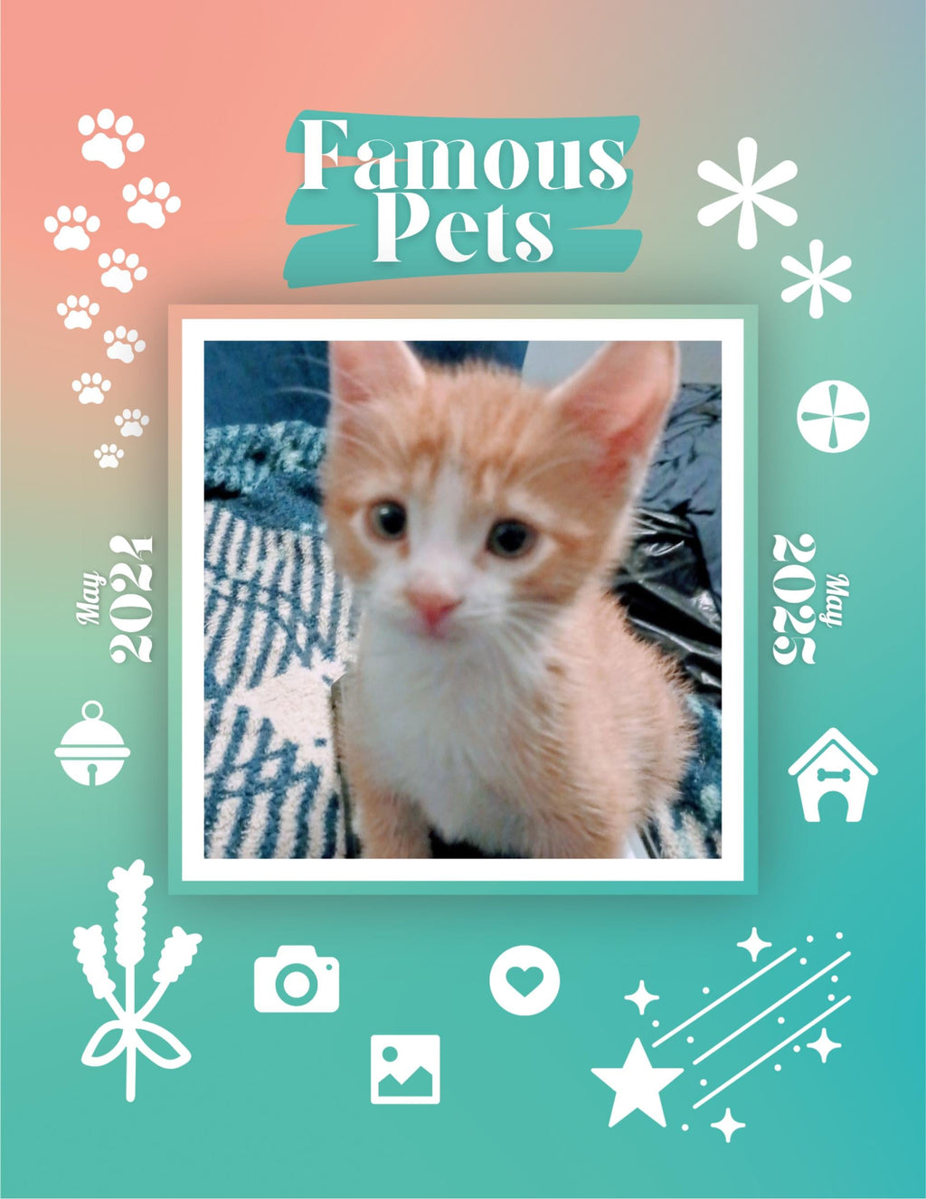 Famous Pets: June 2024-June 2025 Wall Calendar (Pre-Order)