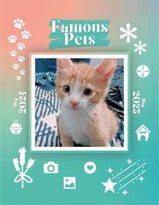 Famous Pets: June 2024-June 2025 Wall Calendar (Pre-Order)