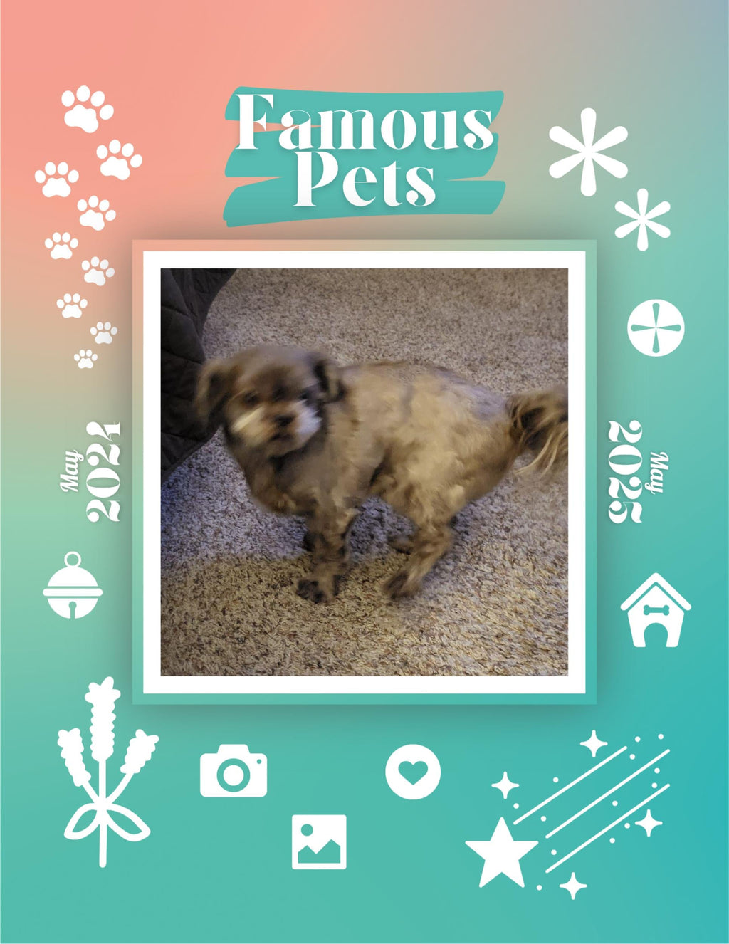 Famous Pets: June 2024-June 2025 Wall Calendar (Pre-Order)