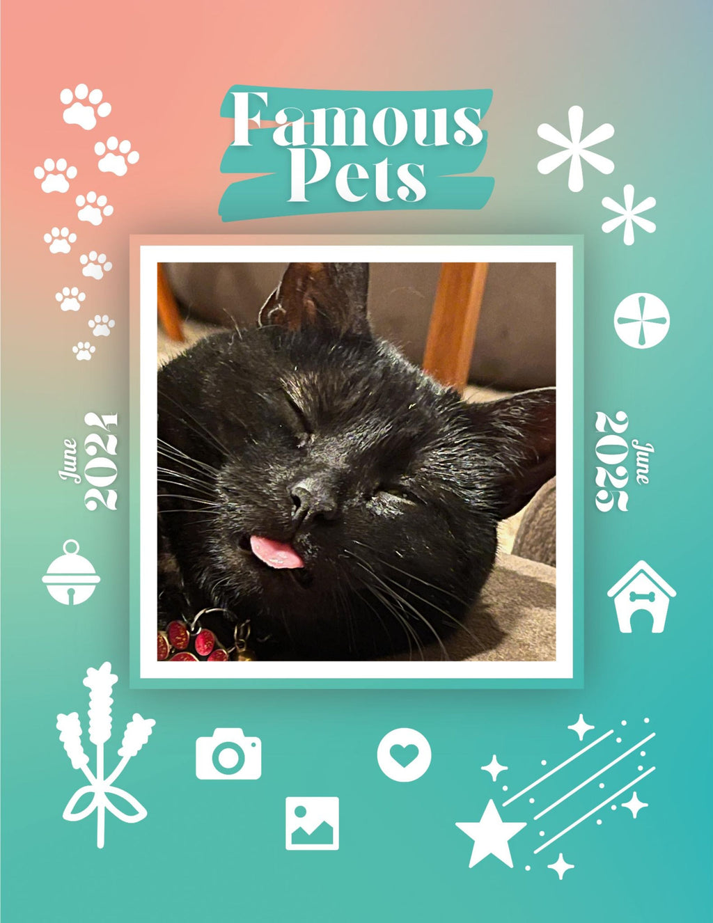 Famous Pets: June 2024-June 2025 Wall Calendar (Pre-Order)