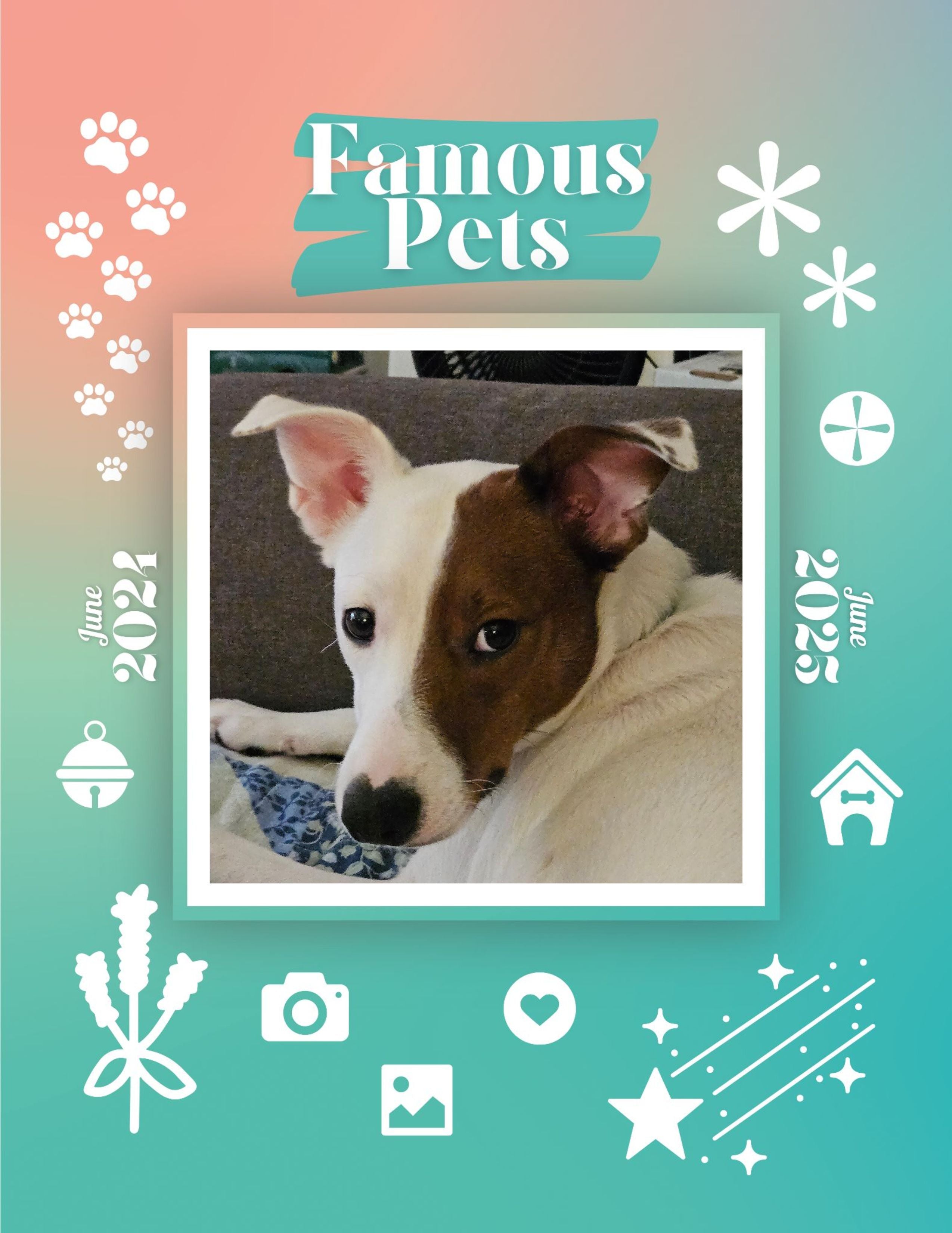 Famous Pets: June 2024-June 2025 Wall Calendar (Pre-Order)