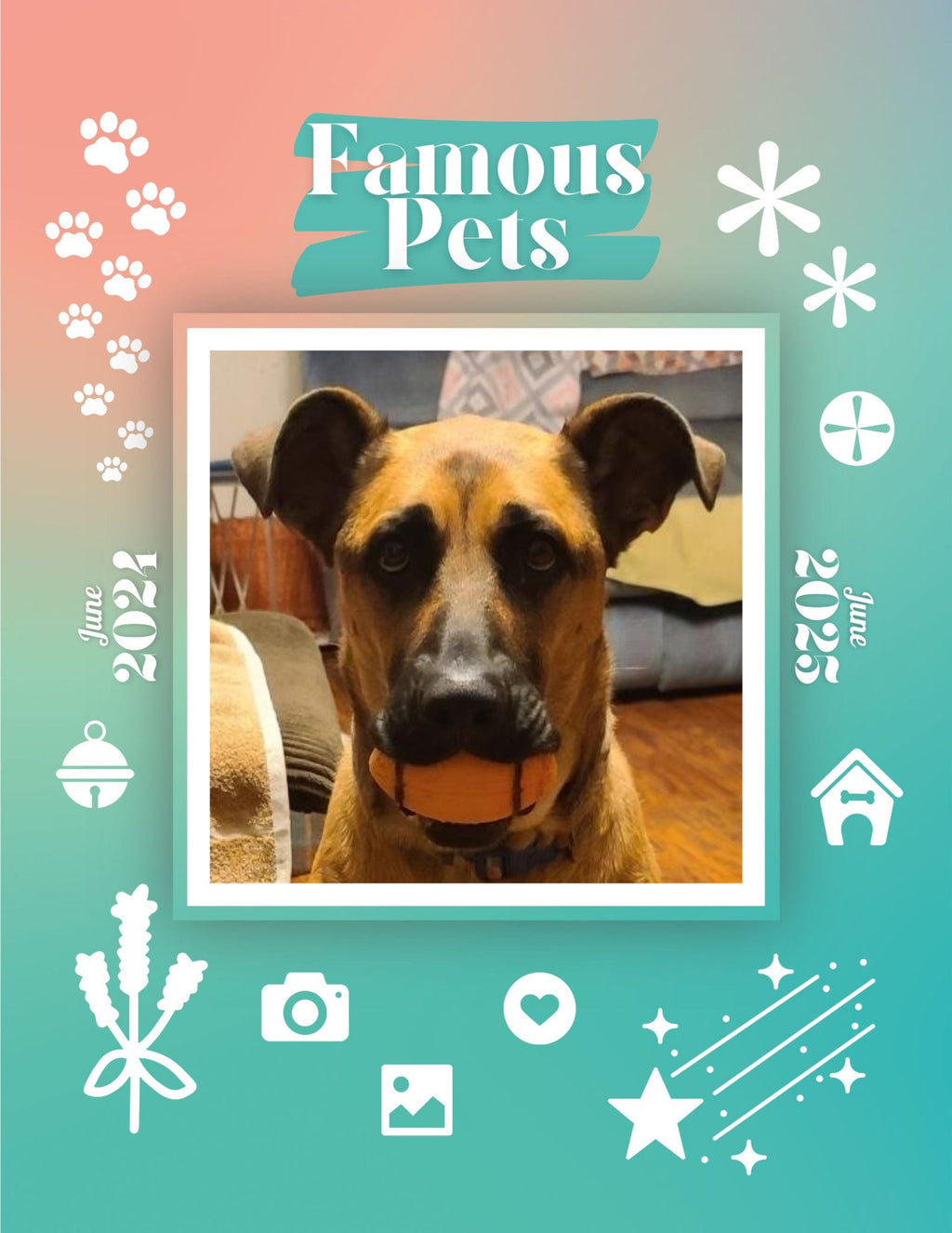 Famous Pets: June 2024-June 2025 Wall Calendar (Pre-Order)