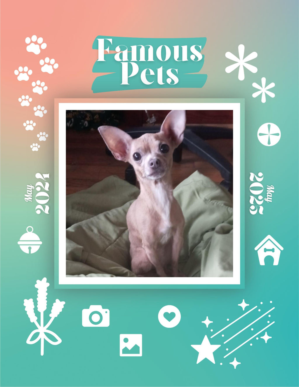 Famous Pets: June 2024-June 2025 Wall Calendar (Pre-Order)