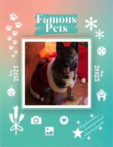 Famous Pets: June 2024-June 2025 Wall Calendar (Pre-Order)