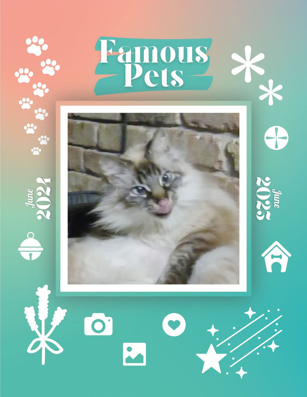Famous Pets: June 2024-June 2025 Wall Calendar (Pre-Order)