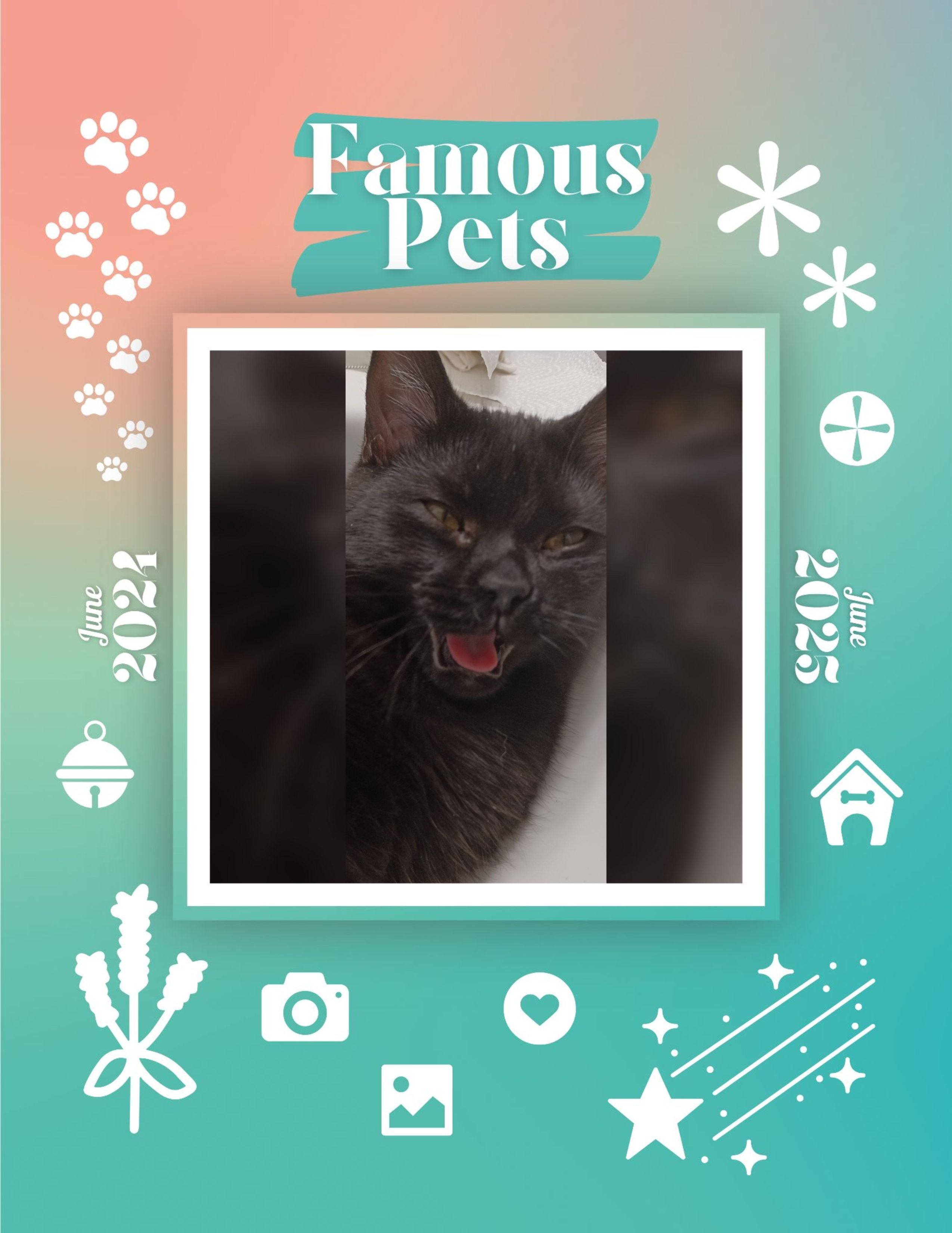 Famous Pets: June 2024-June 2025 Wall Calendar (Pre-Order)
