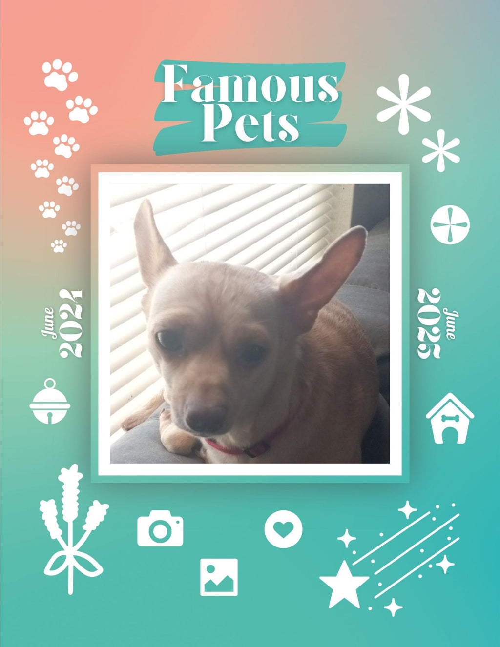 Famous Pets: June 2024-June 2025 Wall Calendar (Pre-Order)
