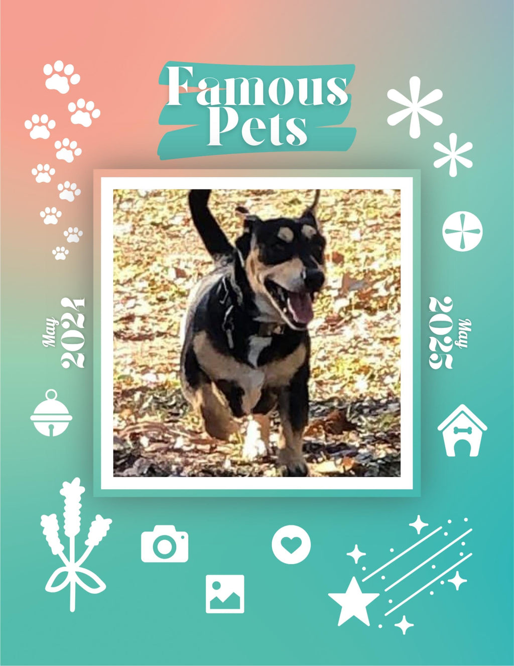 Famous Pets: June 2024-June 2025 Wall Calendar (Pre-Order)