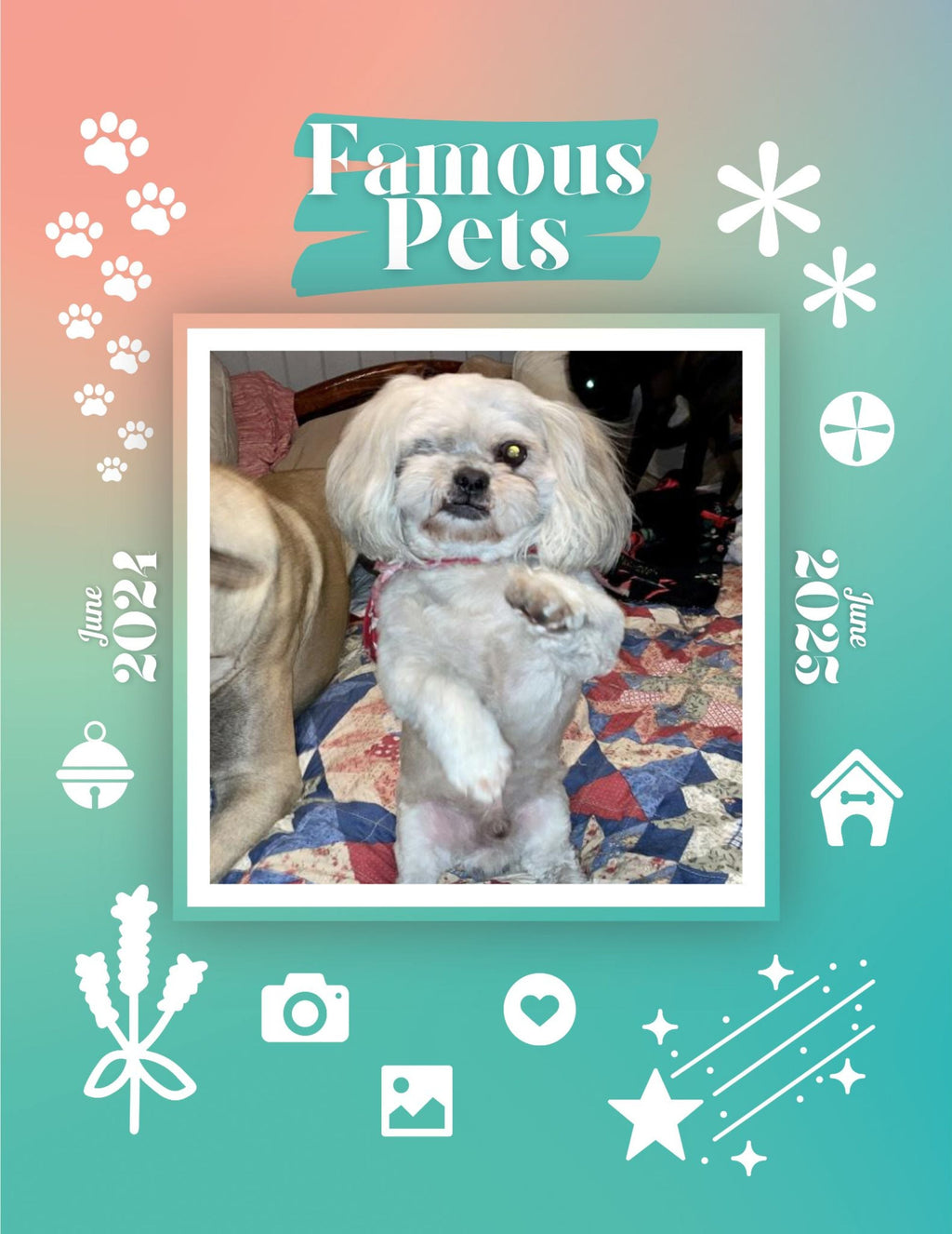 Famous Pets: June 2024-June 2025 Wall Calendar (Pre-Order)