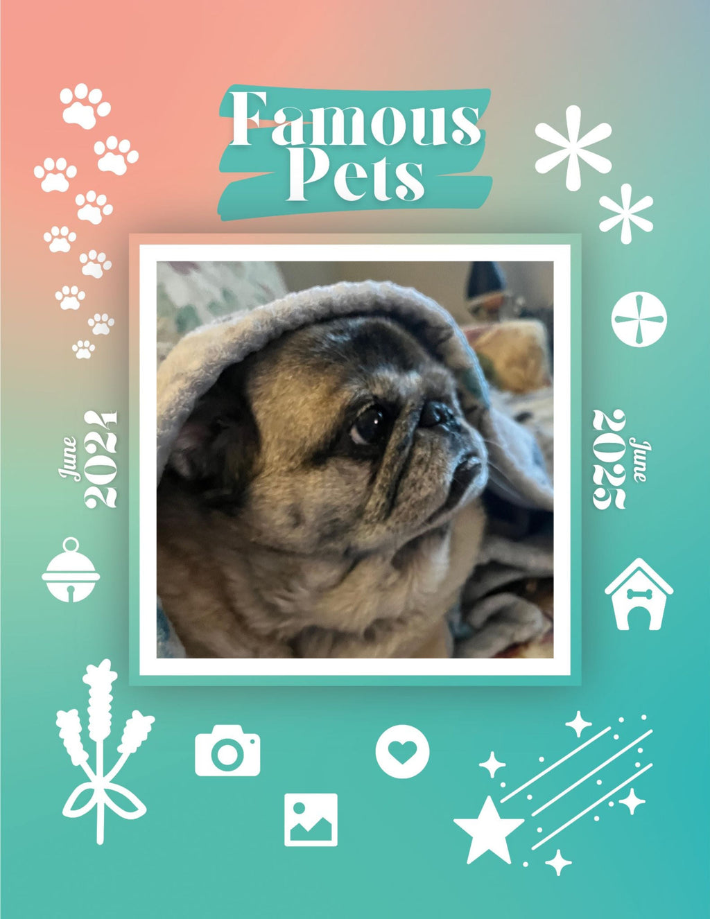 Famous Pets: June 2024-June 2025 Wall Calendar (Pre-Order)