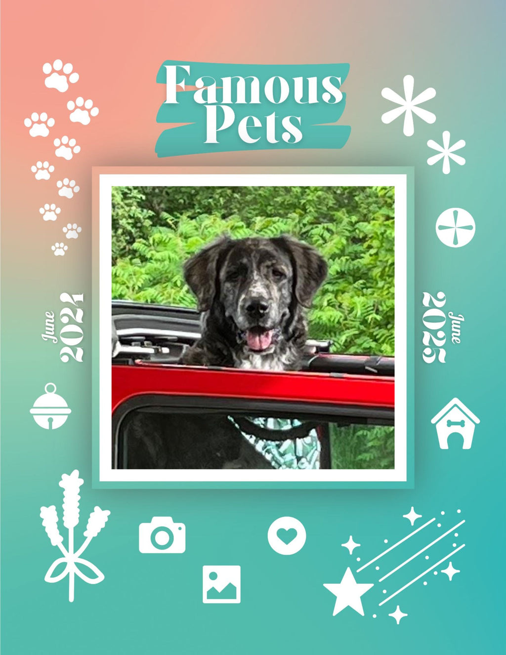 Famous Pets: June 2024-June 2025 Wall Calendar (Pre-Order)