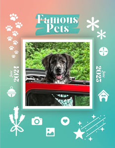 Famous Pets: June 2024-June 2025 Wall Calendar (Pre-Order)