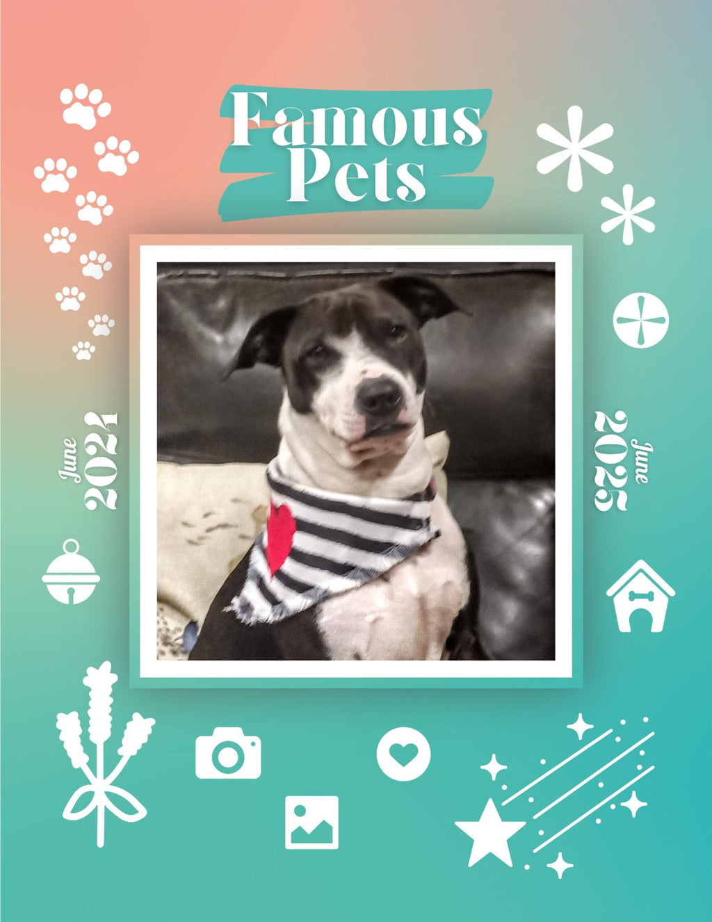 Famous Pets: June 2024-June 2025 Wall Calendar (Pre-Order)