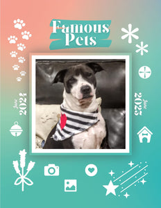 Famous Pets: June 2024-June 2025 Wall Calendar (Pre-Order)