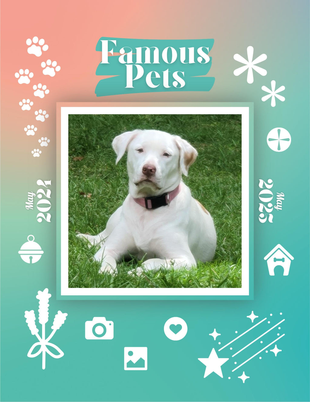 Famous Pets: June 2024-June 2025 Wall Calendar (Pre-Order)