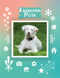 Famous Pets: June 2024-June 2025 Wall Calendar (Pre-Order)