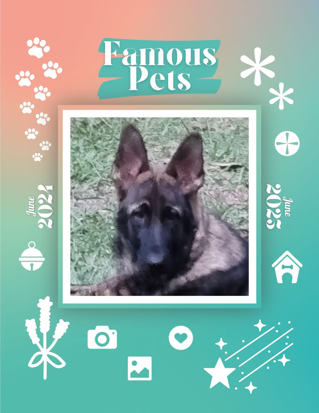 Famous Pets: June 2024-June 2025 Wall Calendar (Pre-Order)