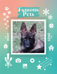Famous Pets: June 2024-June 2025 Wall Calendar (Pre-Order)