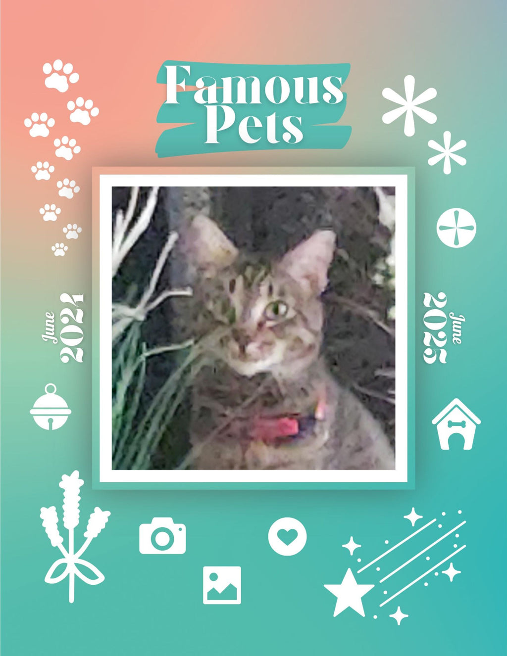 Famous Pets: June 2024-June 2025 Wall Calendar (Pre-Order)