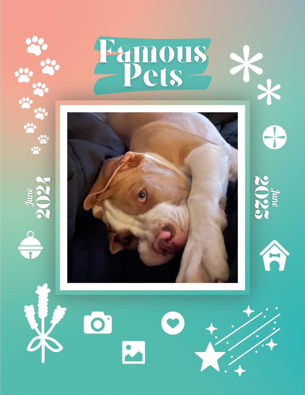 Famous Pets: June 2024-June 2025 Wall Calendar (Pre-Order)