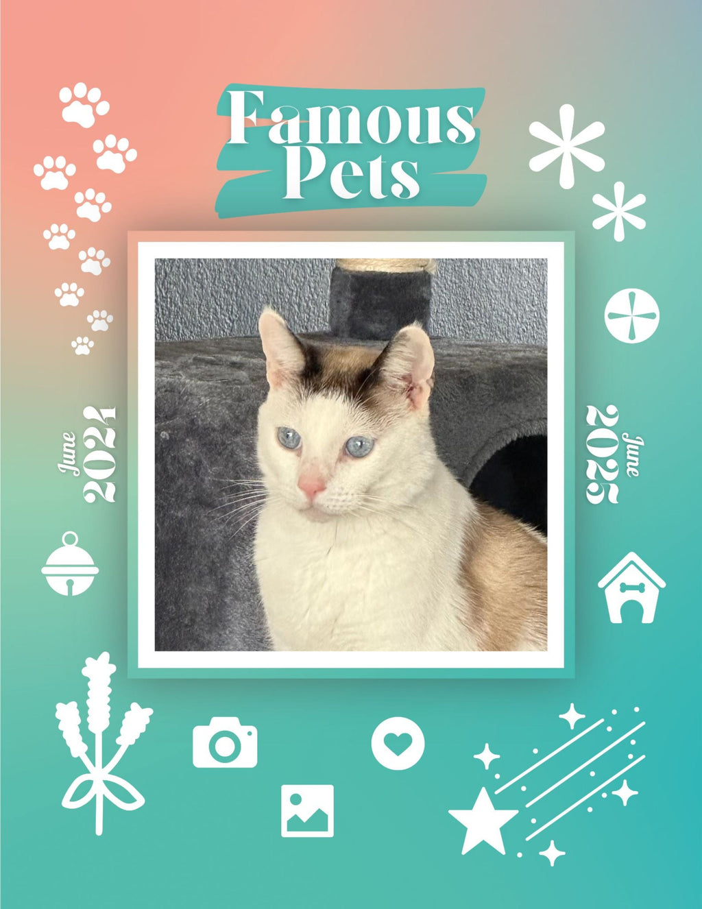 Famous Pets: June 2024-June 2025 Wall Calendar (Pre-Order)