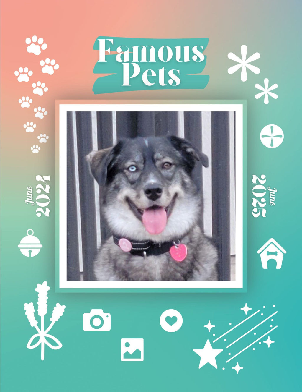 Famous Pets: June 2024-June 2025 Wall Calendar (Pre-Order)