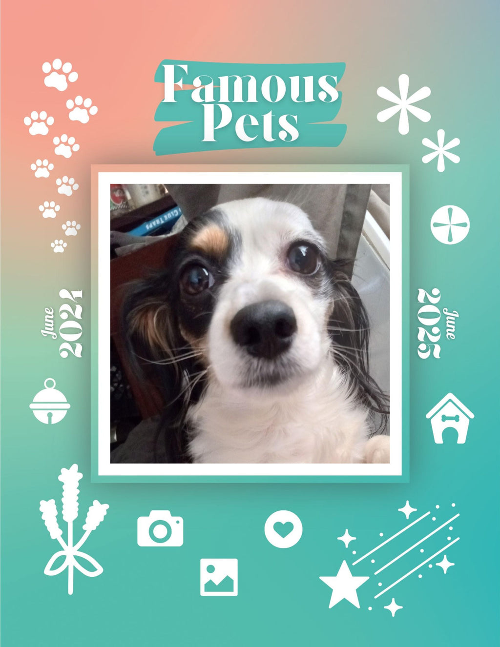 Famous Pets: June 2024-June 2025 Wall Calendar (Pre-Order)