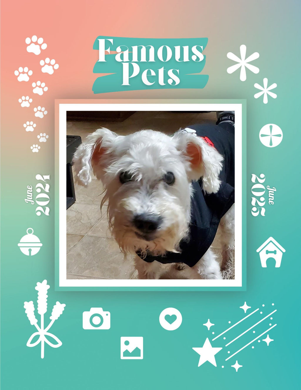 Famous Pets: June 2024-June 2025 Wall Calendar (Pre-Order)