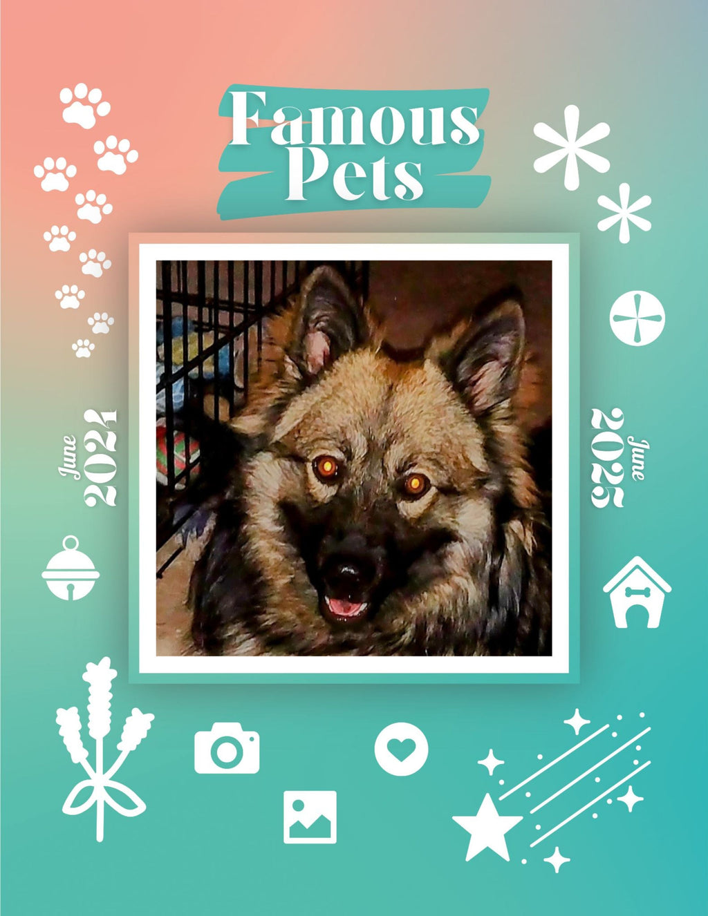Famous Pets: June 2024-June 2025 Wall Calendar (Pre-Order)
