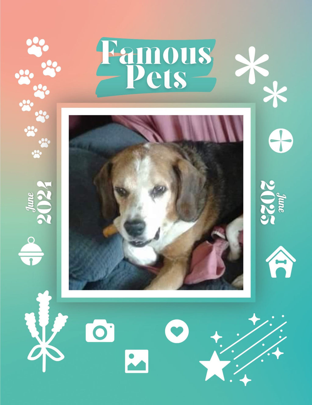 Famous Pets: June 2024-June 2025 Wall Calendar (Pre-Order)