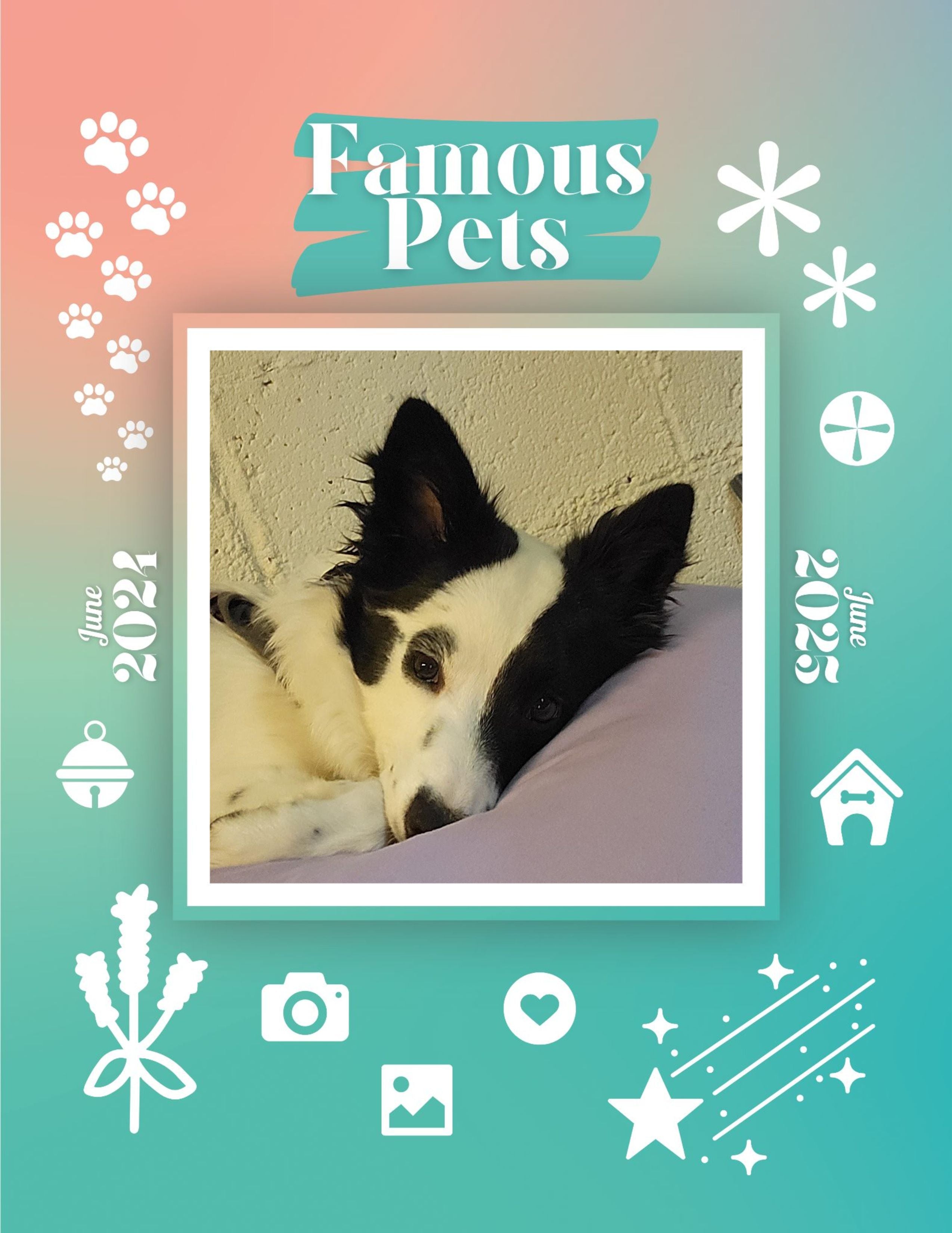 Famous Pets: June 2024-June 2025 Wall Calendar (Pre-Order)