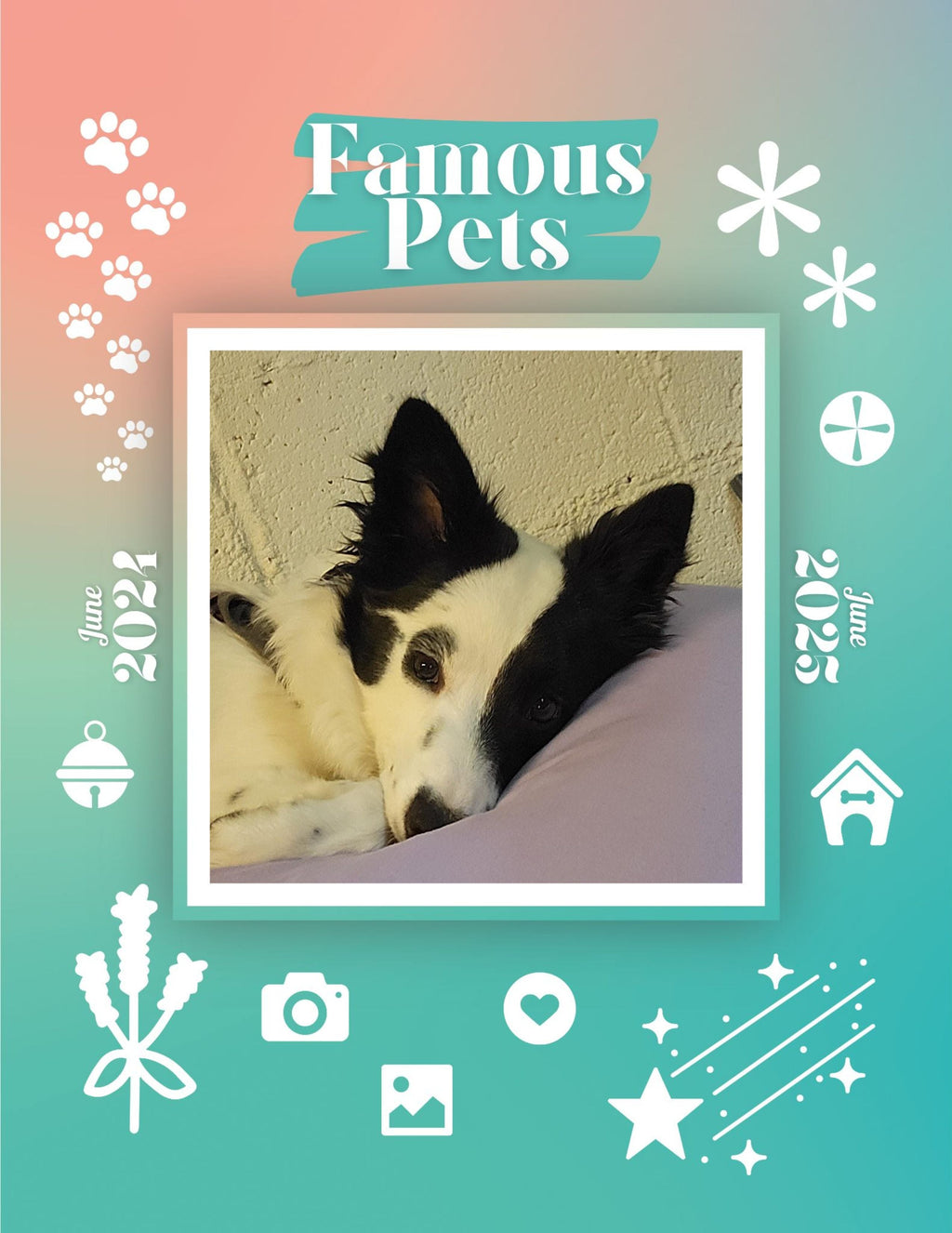 Famous Pets: June 2024-June 2025 Wall Calendar (Pre-Order)
