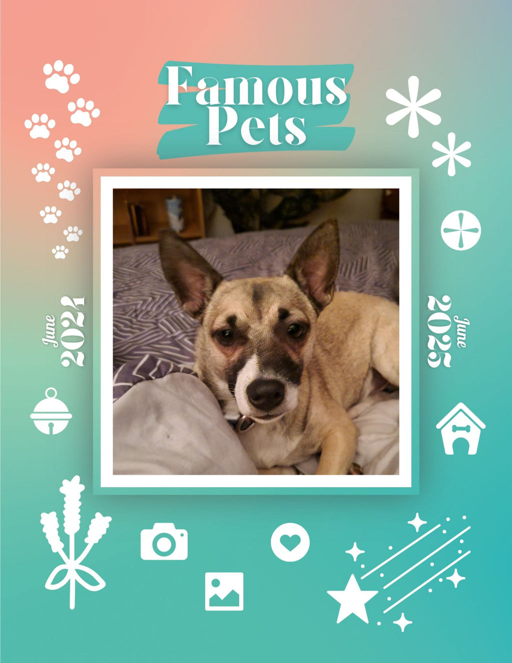 Famous Pets: June 2024-June 2025 Wall Calendar (Pre-Order)
