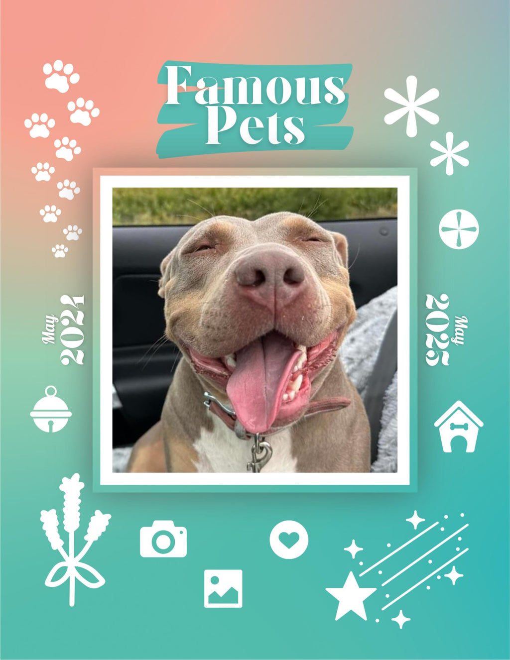 Famous Pets: June 2024-June 2025 Wall Calendar (Pre-Order)