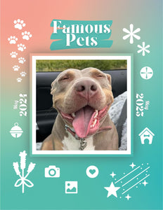 Famous Pets: June 2024-June 2025 Wall Calendar (Pre-Order)