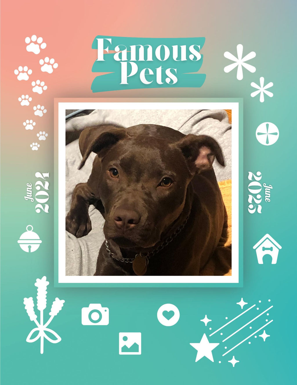 Famous Pets: June 2024-June 2025 Wall Calendar (Pre-Order)