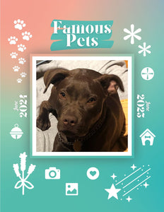 Famous Pets: June 2024-June 2025 Wall Calendar (Pre-Order)