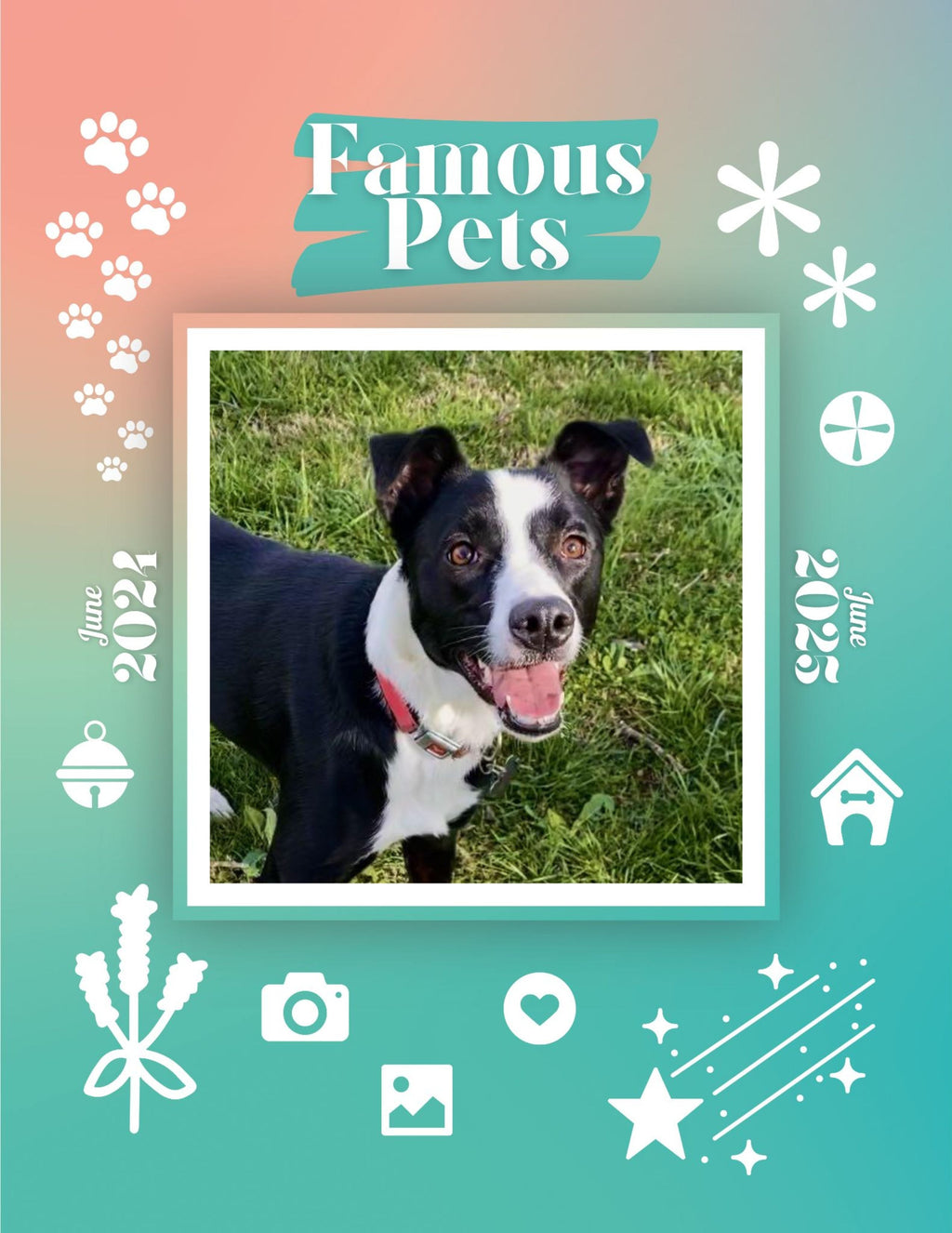 Famous Pets: June 2024-June 2025 Wall Calendar (Pre-Order)