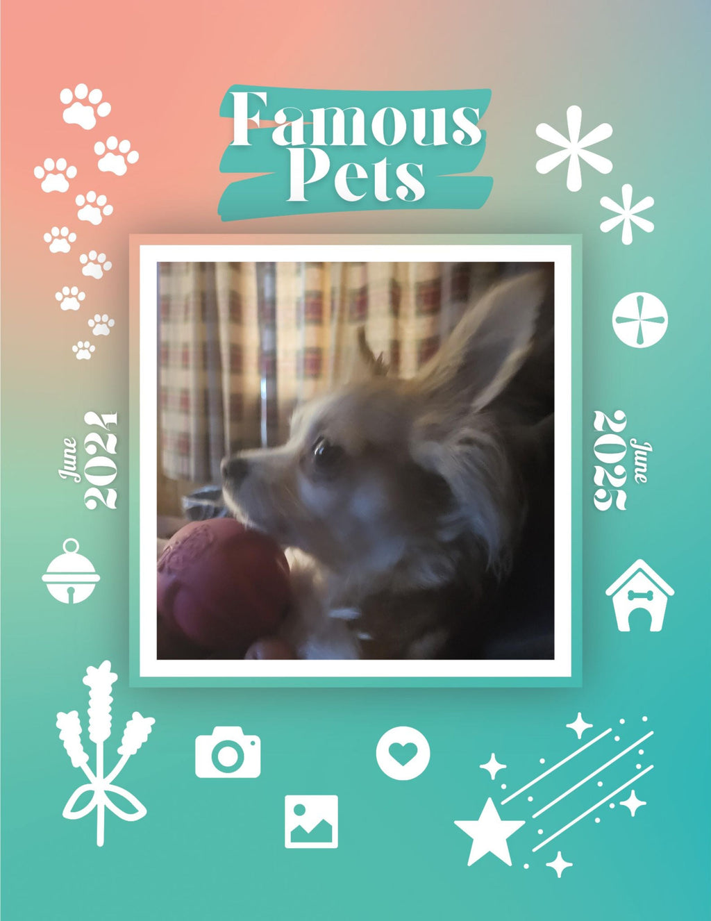 Famous Pets: June 2024-June 2025 Wall Calendar (Pre-Order)