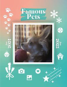 Famous Pets: June 2024-June 2025 Wall Calendar (Pre-Order)