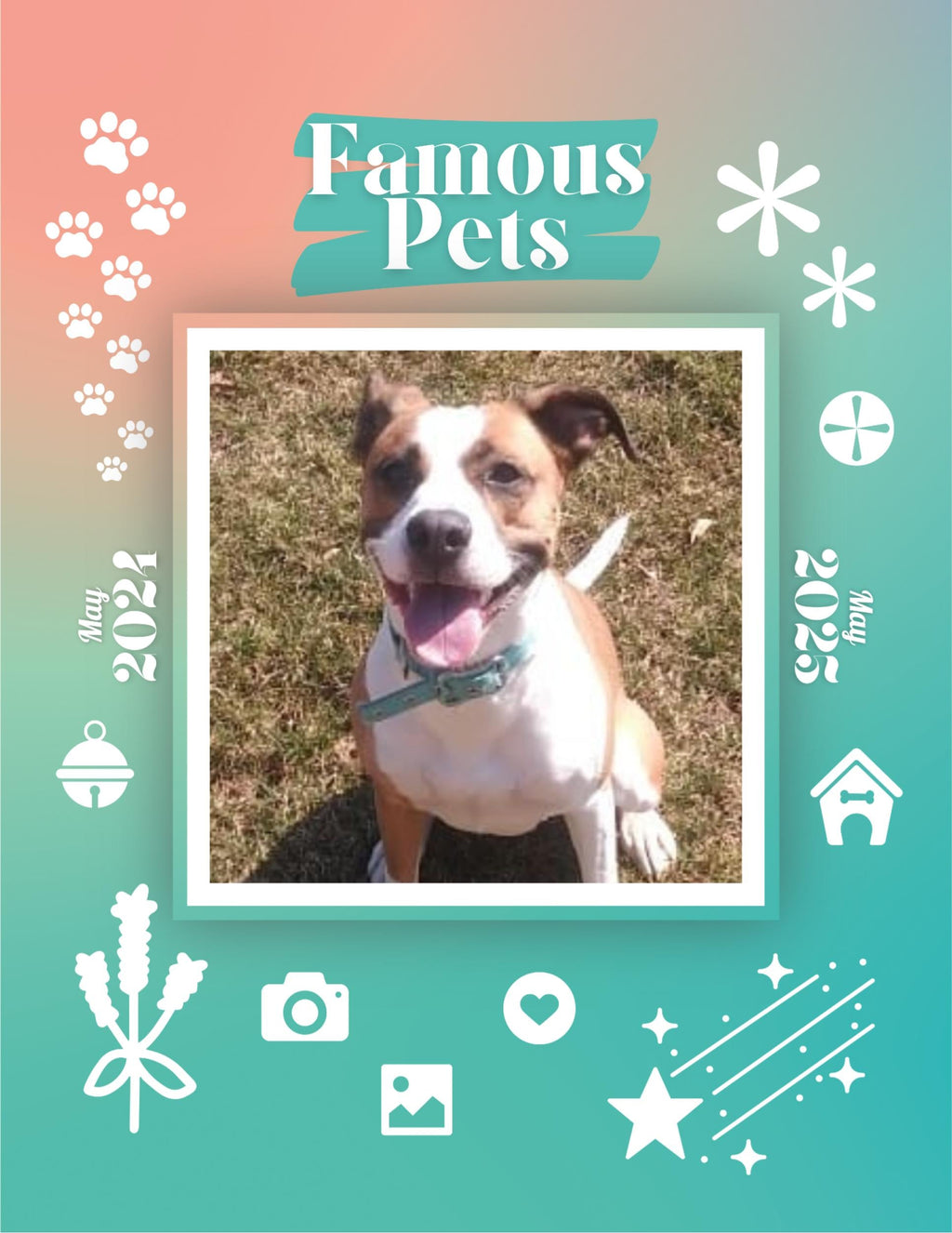 Famous Pets: June 2024-June 2025 Wall Calendar (Pre-Order)