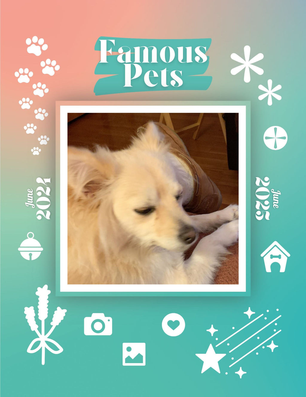 Famous Pets: June 2024-June 2025 Wall Calendar (Pre-Order)