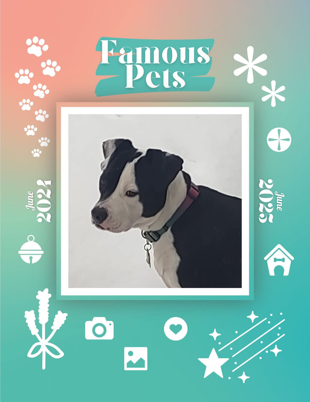 Famous Pets: June 2024-June 2025 Wall Calendar (Pre-Order)