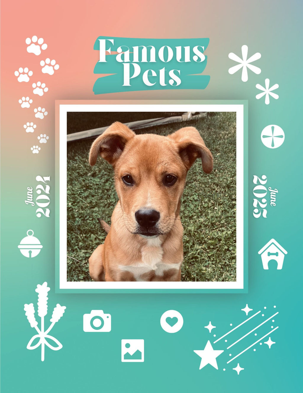 Famous Pets: June 2024-June 2025 Wall Calendar (Pre-Order)