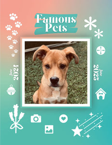 Famous Pets: June 2024-June 2025 Wall Calendar (Pre-Order)