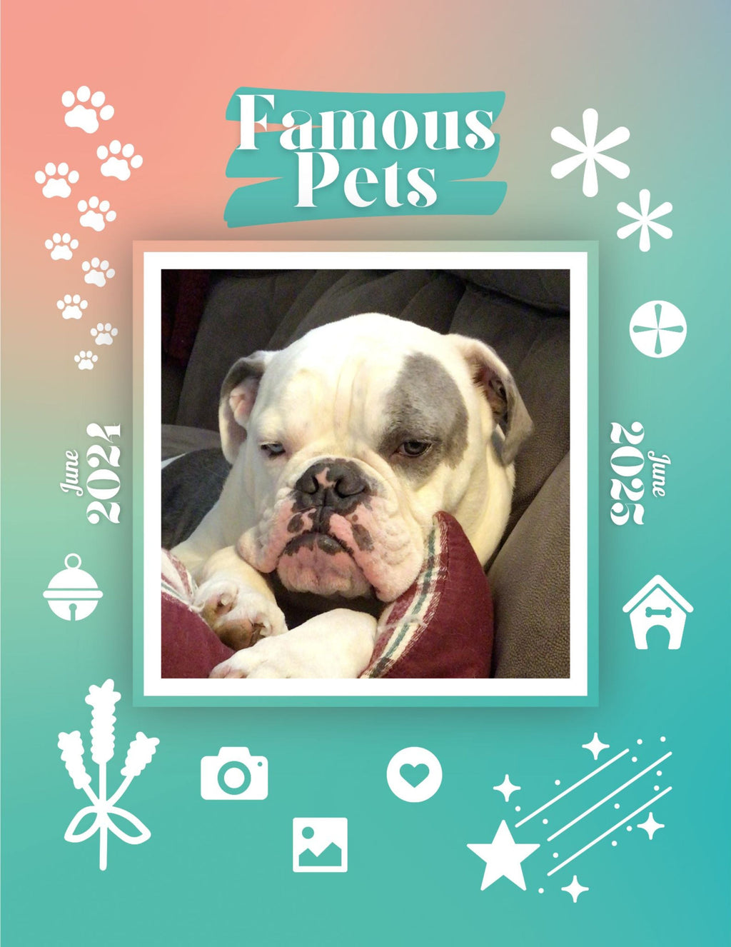 Famous Pets: June 2024-June 2025 Wall Calendar (Pre-Order)
